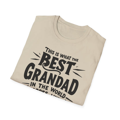 Grandpa Best In World T-Shirt