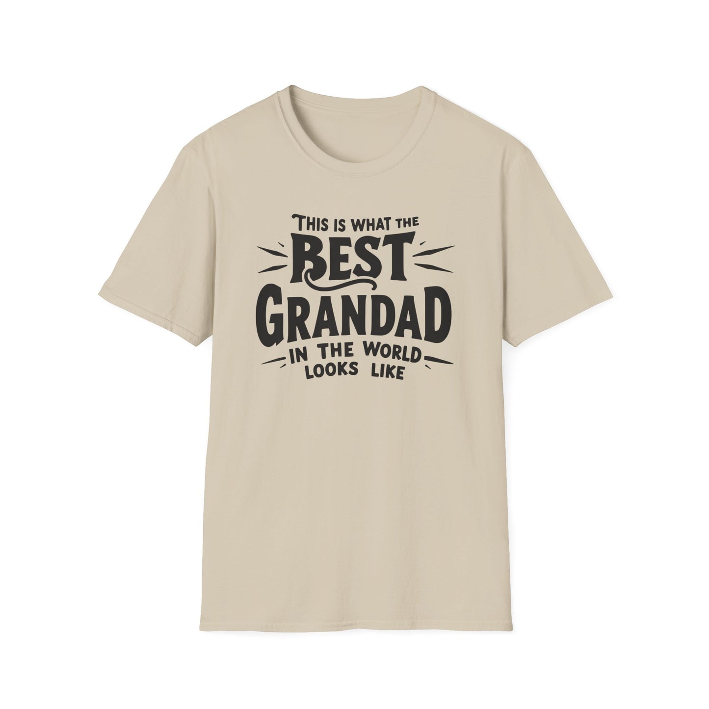 Grandpa Best In World T-Shirt