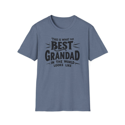 Grandpa Best In World T-Shirt