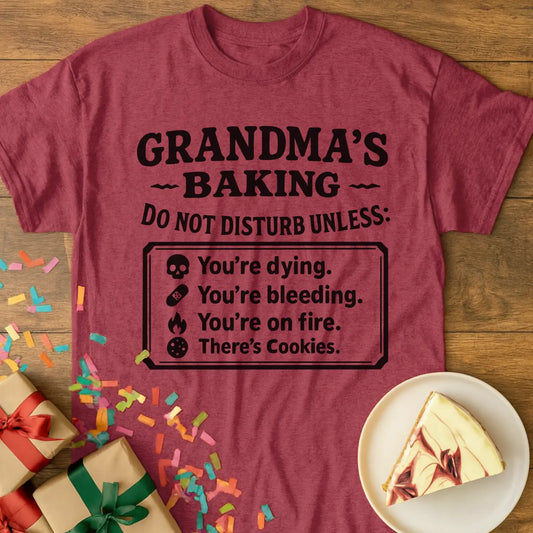 Do Not Disturb Grandma T-Shirt